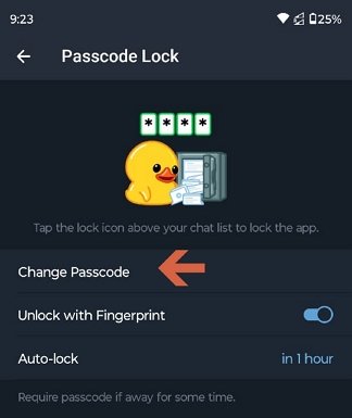 passcode window