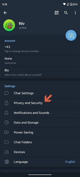 How can I recover my Telegram password - Scroll down and tap on "Privacy and Security"